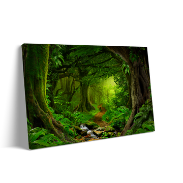 TROPICAL FOREST
